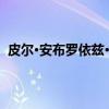 皮尔·安布罗依兹·博斯（关于皮尔·安布罗依兹·博斯介绍）