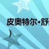 皮奥特尔·舒尔金（关于皮奥特尔·舒尔金介绍）