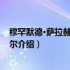 穆罕默德·萨拉赫·埃尔内尔（关于穆罕默德·萨拉赫·埃尔内尔介绍）