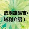 皮埃路易吉·弗拉塔利（关于皮埃路易吉·弗拉塔利介绍）