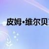 皮姆·维尔贝克（关于皮姆·维尔贝克介绍）