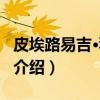 皮埃路易吉·科利纳（关于皮埃路易吉·科利纳介绍）
