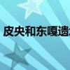 皮央和东嘎遗址（关于皮央和东嘎遗址介绍）