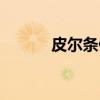 皮尔条例（关于皮尔条例介绍）