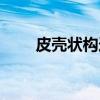 皮壳状构造(关于皮壳状构造介绍) 皮壳状构造(关于皮壳状构造介绍)