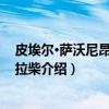 皮埃尔·萨沃尼昂·德·布拉柴（关于皮埃尔·萨沃尼昂·德·布拉柴介绍）