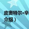 皮奥特尔·辛宁斯基（关于皮奥特尔·辛宁斯基介绍）