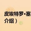 皮埃特罗·塞兰托尼（关于皮埃特罗·塞兰托尼介绍）