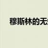 穆斯林的无知（关于穆斯林的无知介绍）