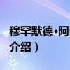 穆罕默德·阿尔古尔（关于穆罕默德·阿尔古尔介绍）
