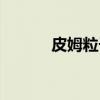 皮姆粒子（关于皮姆粒子介绍）