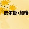 皮尔斯·加格农（关于皮尔斯·加格农介绍）