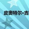 皮奥特尔·吉萨（关于皮奥特尔·吉萨介绍）