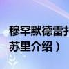 穆罕默德雷扎·曼苏里（关于穆罕默德雷扎·曼苏里介绍）