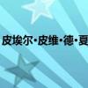 皮埃尔·皮维·德·夏凡纳（关于皮埃尔·皮维·德·夏凡纳介绍）