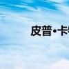 皮普·卡特（关于皮普·卡特介绍）