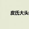 皮氏大头蚁(关于皮氏大头蚁介绍) 皮氏大头蚁(关于皮氏大头蚁介绍)