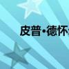 皮普·德怀尔（关于皮普·德怀尔介绍）