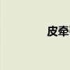 皮牵引（关于皮牵引介绍）