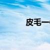 皮毛一体（关于皮毛一体介绍）