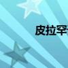 皮拉罕语（关于皮拉罕语介绍）