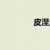 皮涅达（关于皮涅达介绍）