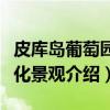 皮库岛葡萄园文化景观（关于皮库岛葡萄园文化景观介绍）