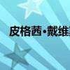 皮格茜·戴维斯（关于皮格茜·戴维斯介绍）