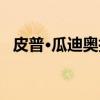 皮普·瓜迪奥拉（关于皮普·瓜迪奥拉介绍）