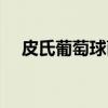皮氏葡萄球菌（关于皮氏葡萄球菌介绍）