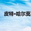 皮特·哈尔莫斯(关于皮特·哈尔莫斯介绍) 皮特·哈尔莫斯(关于皮特·哈尔莫斯介绍)