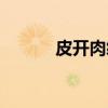 皮开肉绽（关于皮开肉绽介绍）