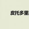 皮托多里斯（关于皮托多里斯介绍）