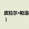 皮拉尔·帕洛梅罗（关于皮拉尔·帕洛梅罗介绍）