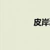 皮岸鸿（关于皮岸鸿介绍）