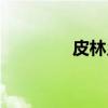 皮林乡（关于皮林乡介绍）