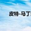 皮特-马丁森（关于皮特-马丁森介绍）