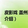 皮影戏 盖州皮影戏（关于皮影戏 盖州皮影戏介绍）