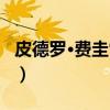 皮德罗·费圭雷多（关于皮德罗·费圭雷多介绍）