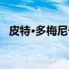 皮特·多梅尼奇（关于皮特·多梅尼奇介绍）