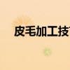 皮毛加工技艺（关于皮毛加工技艺介绍）