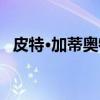 皮特·加蒂奥特（关于皮特·加蒂奥特介绍）