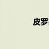 皮罗邦（关于皮罗邦介绍）