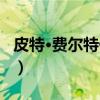 皮特·费尔特伊岑（关于皮特·费尔特伊岑介绍）