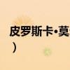 皮罗斯卡·莫尔纳（关于皮罗斯卡·莫尔纳介绍）