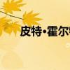 皮特·霍尔特（关于皮特·霍尔特介绍）