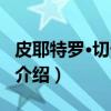 皮耶特罗·切卡罗尼（关于皮耶特罗·切卡罗尼介绍）