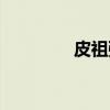 皮祖强（关于皮祖强介绍）