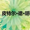 皮特尔·德·胡格（关于皮特尔·德·胡格介绍）