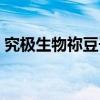究极生物祢豆子（关于究极生物祢豆子介绍）